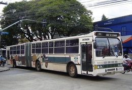Ciferal