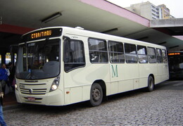 Neobus