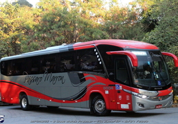 Marcopolo-Rodoviários N-Z