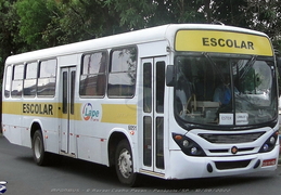 Marcopolo - Urbanos J-R